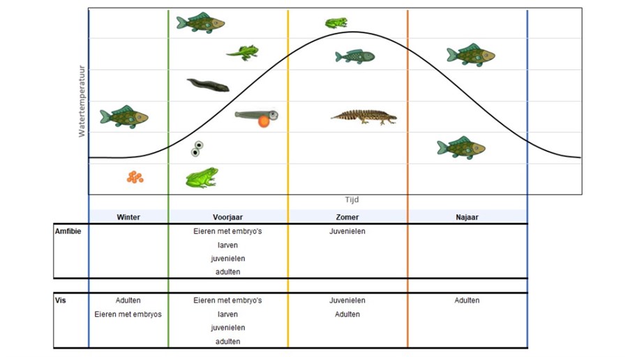 Bericht Een literatuurstudie naar effecten van koudelozingen op vis en amfibieën bekijken
